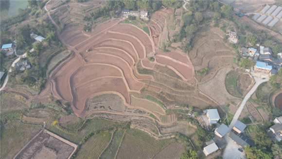 西彭镇迎新村高标准农田改造提升示范项目田块整治现场。 受访单位供图