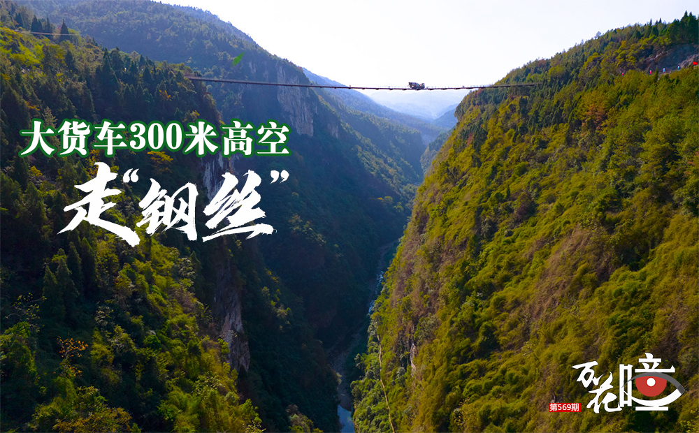 569封面（沒有署名）