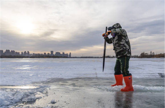 工人在松花江哈尔滨段封冻的江面上采冰。新华社记者 谢剑飞 摄