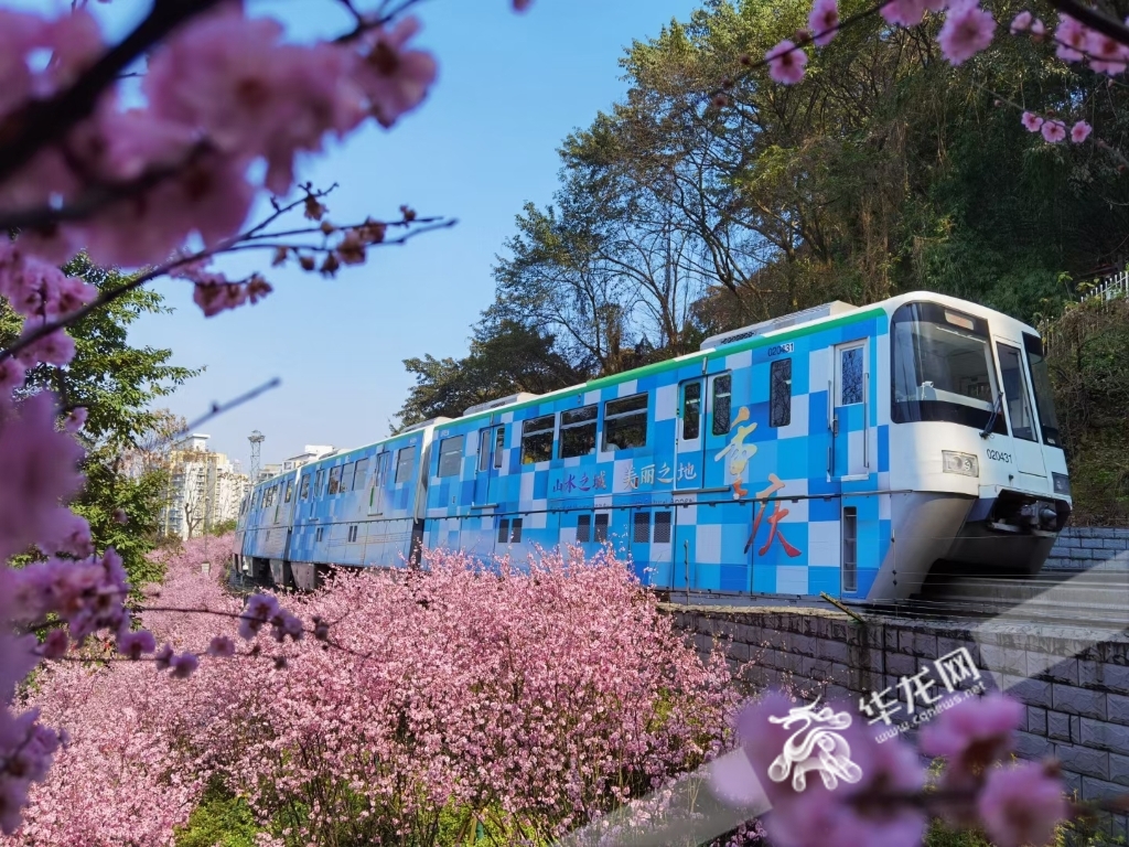 重庆“开往春天的列车”（资料图）华龙网-新重庆客户端记者 谢鹏飞摄
