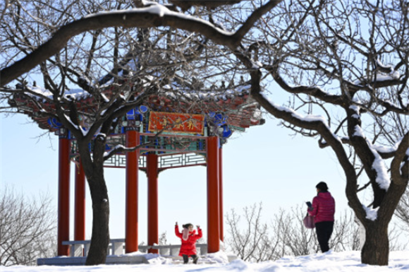 2月14日，游客在北京西山国家森林公园报春亭赏雪。新华社记者 尹栋逊 摄