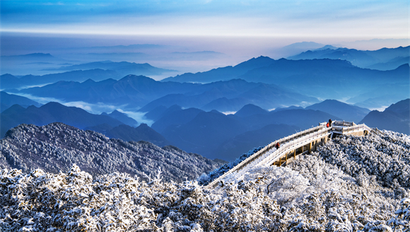 5金佛山雪景。李大伦摄