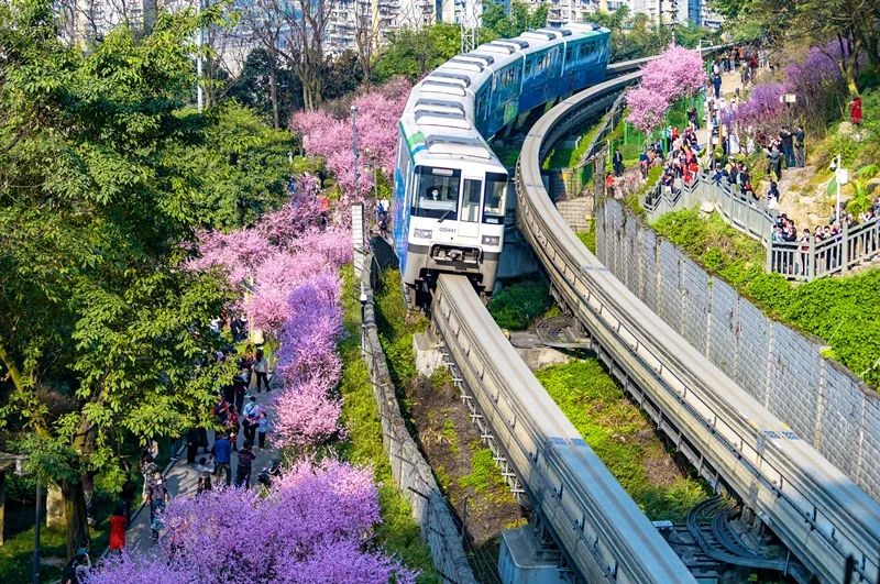 “开往春天的列车”。渝中区文化旅游委供图 华龙网发