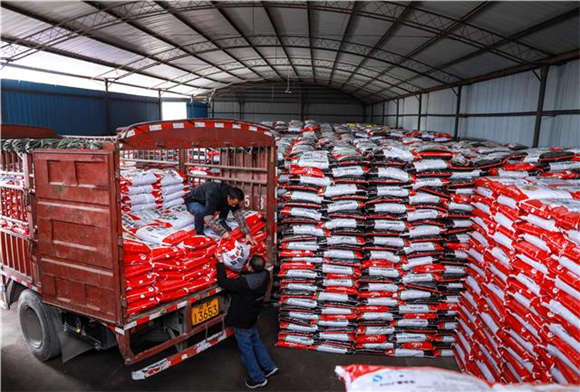 在梁平新合农业生产资料有限责任公司，工人们正将一袋袋的肥料装进货车，运往各供销网点销售。通讯员 熊伟 摄