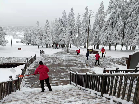 仙女山景区步行道除雪。武隆喀斯特公司供图 华龙网发