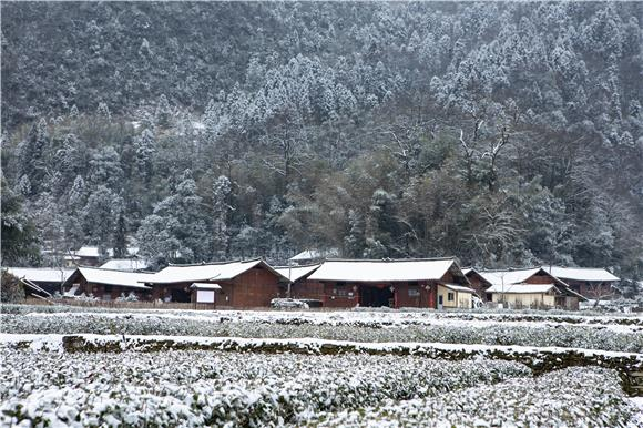 Characteristic village snow scene (Photographed by Hu Cheng) 秀山3