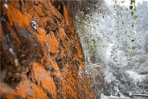 Rocks and snow in Liyuan Village (Photographed by Hu Cheng) 秀山2