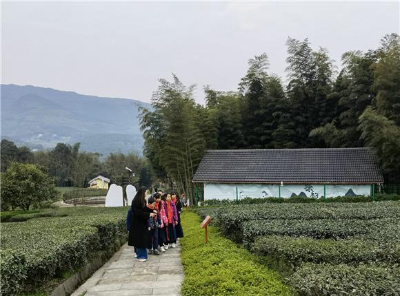 同学们在自然课堂学习。 特约通讯员 李慧敏 摄