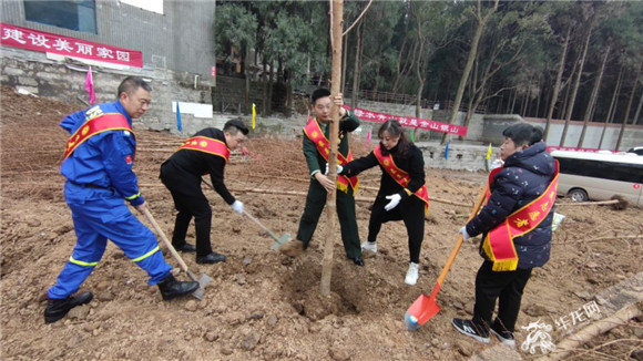 开州区志愿者植树。华龙网-新重庆客户端记者 闫仪 摄