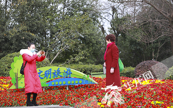 7 城市里处处有盛开的鲜花。华龙网-新重庆客户端 首席记者 李文科 摄