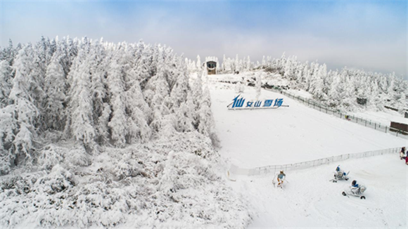 仙女山雪景。武隆喀斯特公司供图 华龙网发