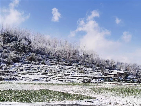 大雪铺地下黔江展现冰雪美景。通讯员 杨靓 摄