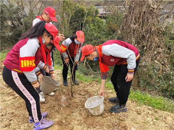 重庆高新区虎溪街道石牛岗社区开展植树节主题活动