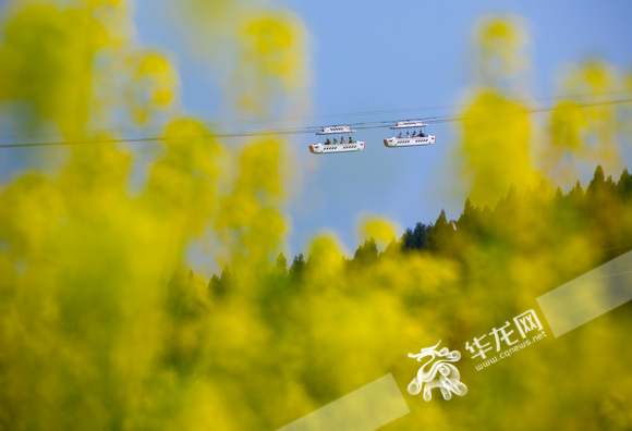 游客在潼南陈抟故里景区的油菜花海里坐“小飞机”观光。华龙网-新重庆客户端记者 张质 摄
