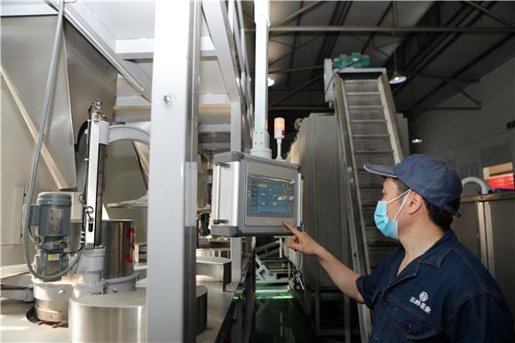 工人在生产车间利用先进设备生产“永川秀芽”。通讯员 陈仕川 摄