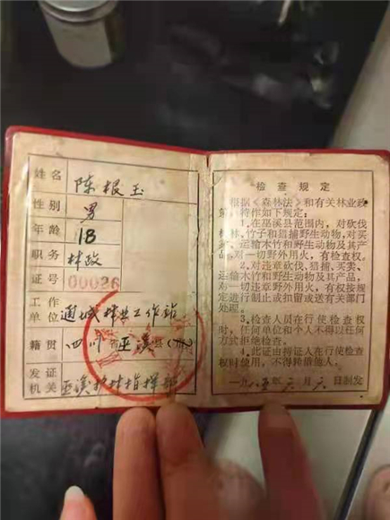 1985年的护林检查证。巫溪县委宣传部供图
