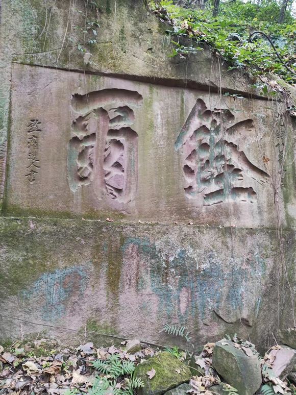 图片1
