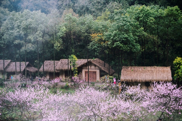 酉阳:首届桃花源杯全国诗词大赛征稿启动 万元现金大奖等你来拿