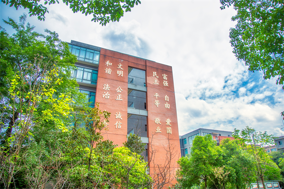 图片5