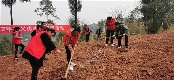 志愿者参加植树劳动。通讯员 赵武强 摄