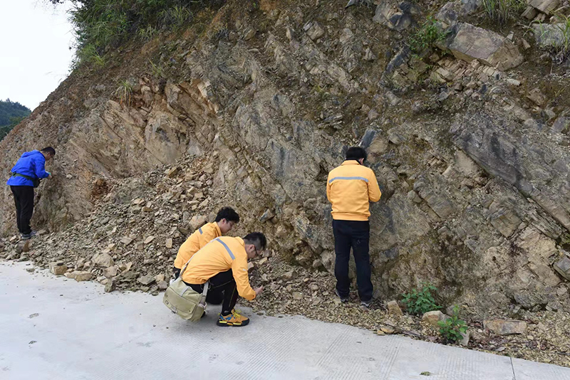 2020年，研究人员在秀山土家族苗族自治县涌洞镇发现距今约4.36亿年前的滨海涌洞鱼化石。市规划自然资源局供图 华龙网-新重庆客户端发