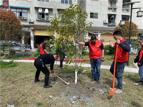 植树活动现场。 城口县鸡鸣乡供图 华龙网发