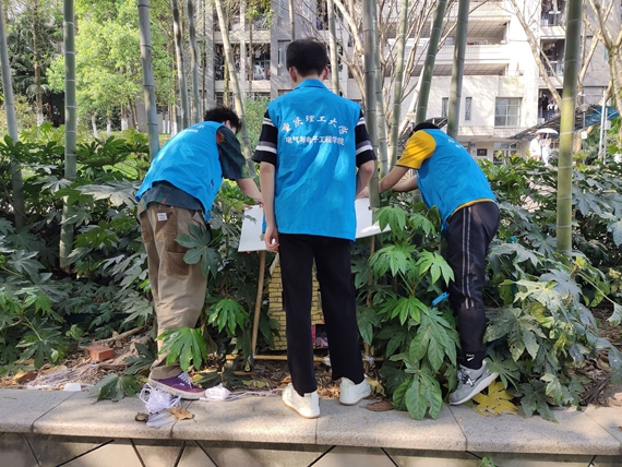 志愿者重新投放猫屋 重庆理工大学供图 华龙网发