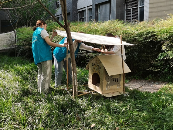 志愿者为猫屋放置遮雨棚 重庆理工大学供图 华龙网发