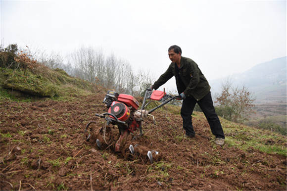 村民在辣椒种植基地翻耕土地。特约通讯员  隆太良  摄