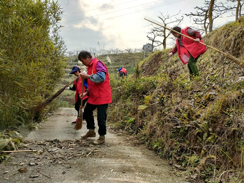 五和村青年志愿者和农家书屋志愿者正在打扫梨园人行便道。通讯员 霍之科 摄