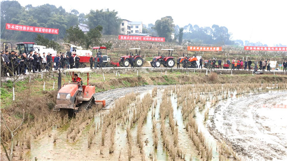 农业机械化生产逐渐在巴南推广使用。 通讯员 罗莎 汪涛 供图