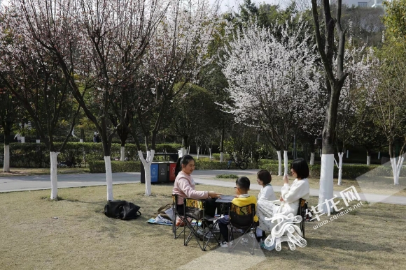 市民们在两江新区金山公园里享受阳光。华龙网-新重庆客户端记者 石涛 摄