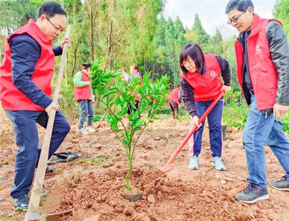 义务植树活动现场。通讯员 刘文静 杨敏莹 供图