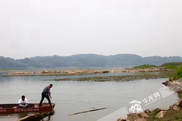 位于中坝岛水域的人工鱼巢。华龙网-新重庆客户端记者 岳芷亦 摄