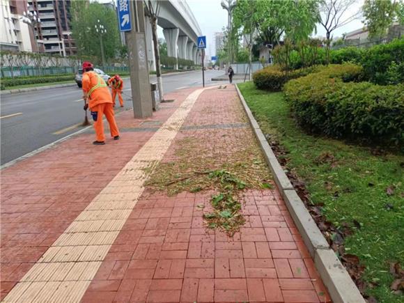 3清扫枯枝落叶。九龙坡区城市管理局供图