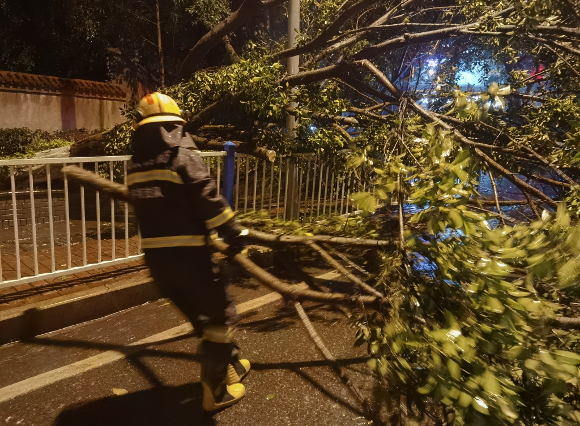 1沙坪坝区的消防员拖走树枝。受访者供图 华龙网-新重庆客户端 发