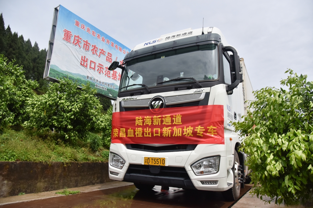 陆海新通道荣昌血橙出口新加坡专车。陆海新通道运营重庆有限公司 供图 陆海新通道荣昌血橙出口新加坡专车。陆海新通道运营重庆有限公司 供图