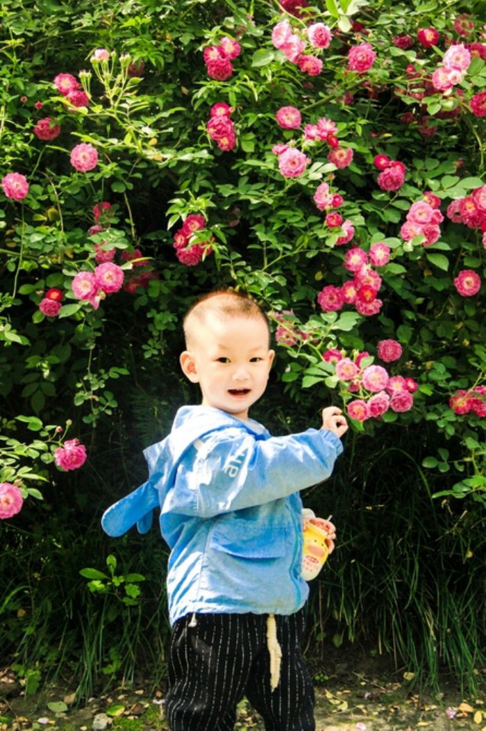 小朋友在蔷薇花下开心留影。通讯员 刘芸 胡义双 摄