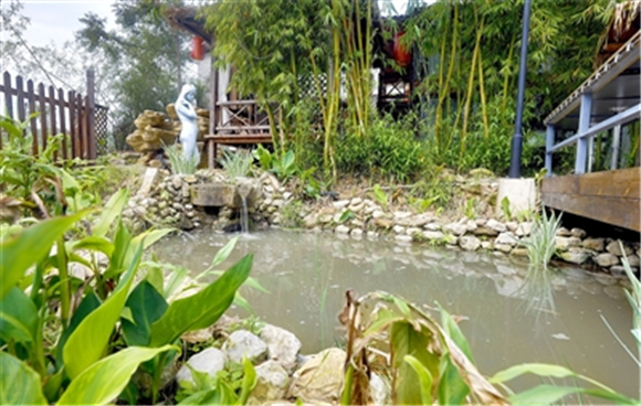 碗米民宿内打造的小微湿地景观一角。通讯员 向成国 摄