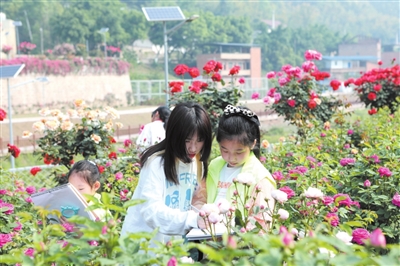 参加永川青少年周末采风自然笔记第二期活动的学生在玫瑰庄园写生。通讯员 陈仕川 摄