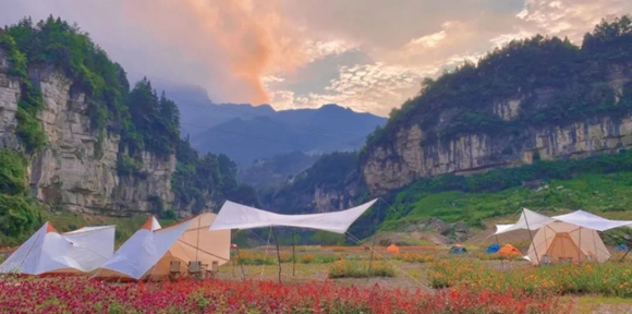花丛中的帐篷（资料图）。金佛山景区供图