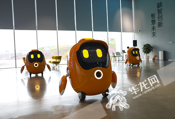 特斯联机器人具有主动招揽游客，唱歌跳舞等功能。华龙网-新重庆客户端 首席记者 李文科 摄