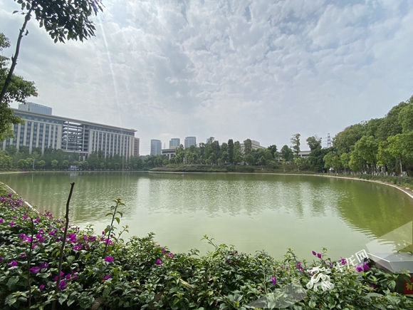 围绕杏湖而建的药材植物园 华龙网-新重庆客户端记者 岳芷亦 摄