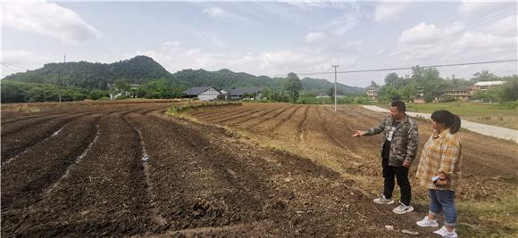 干部在地头规划大豆种植。特约通讯员 赵武强 摄