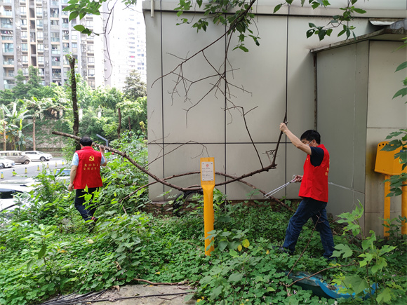 3龙山街道松牌路社区党员志愿者正在清理树枝。通讯员 左春燕 摄