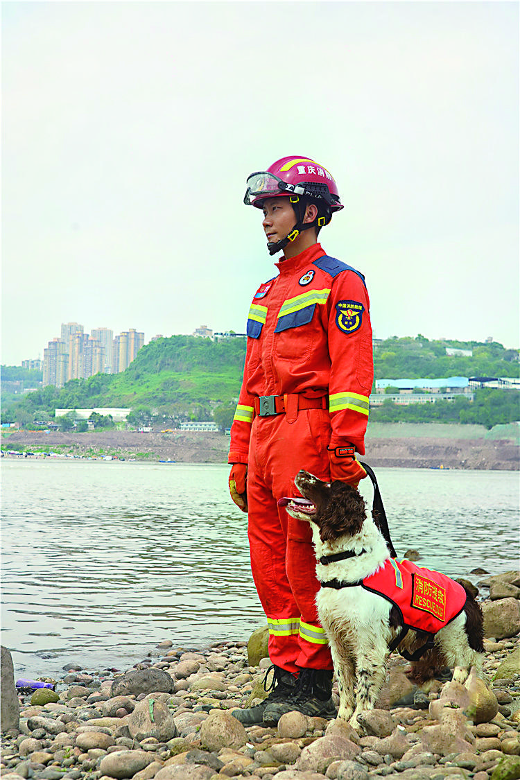 搜救犬海啸图片