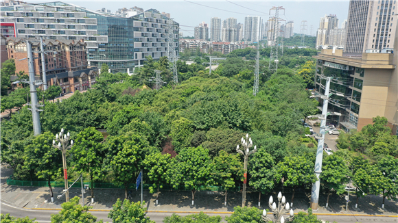 数字绿色广场建设前。九龙坡区城市管理局供图 华龙网发