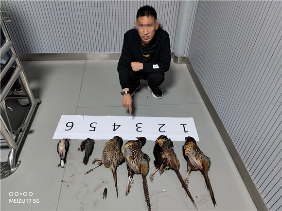 嫌疑人指认非法捕获的野生动物。云阳县公安局供图 华龙网发