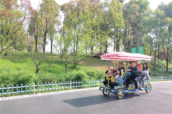双桂湖国家湿地公园，市民一边骑行，一边欣赏风景。通讯员 孙莎莎 摄