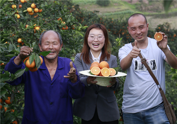2游莉和村民一起在柑橘林推介农特产品。